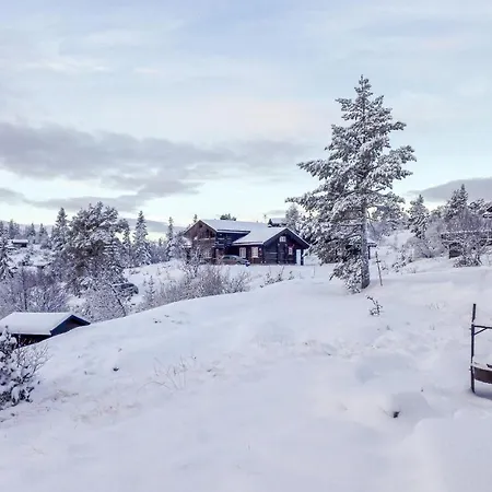 Three-bedroom Holiday In Nissedal Сasa de vacaciones Kyrkjebygdi
